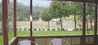 Sheenwynds Lodge, Pahalgam 3